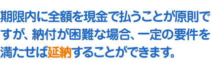 期限内に全額を現金で払うことが原則ですが、納付が困難な場合、一定の要件を満たせば延納することができます。